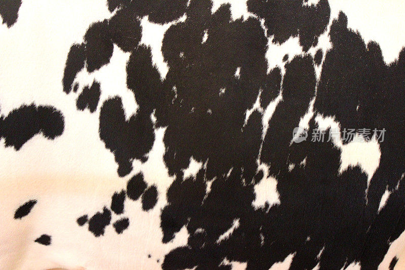 弗里西亚牛皮图案/黑白牛皮斑纹